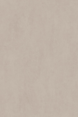 STREET TAUPE